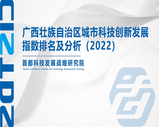 大鸡巴好舒服视频【成果发布】广西壮族自治区城市科技创新发展指数排名及分析（2022）